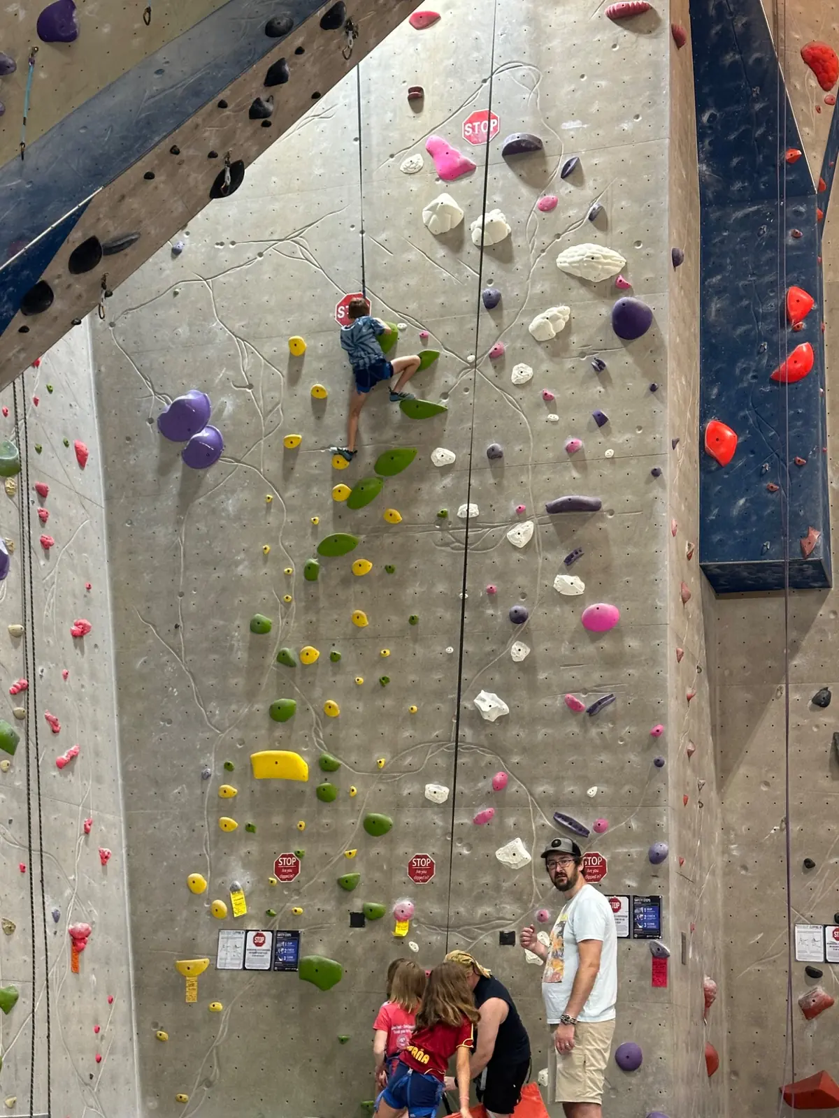 Leo climbing high on the wall
