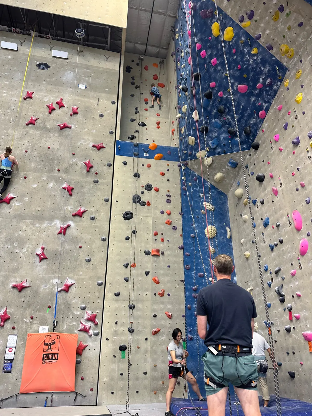 Leo near the top of the climbing wall
